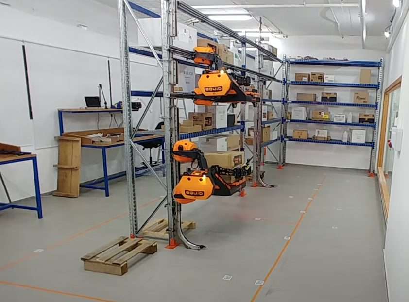 image of pallet rack technology Bionic-hive-SqUID