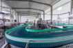 Plastic Belt Conveyors