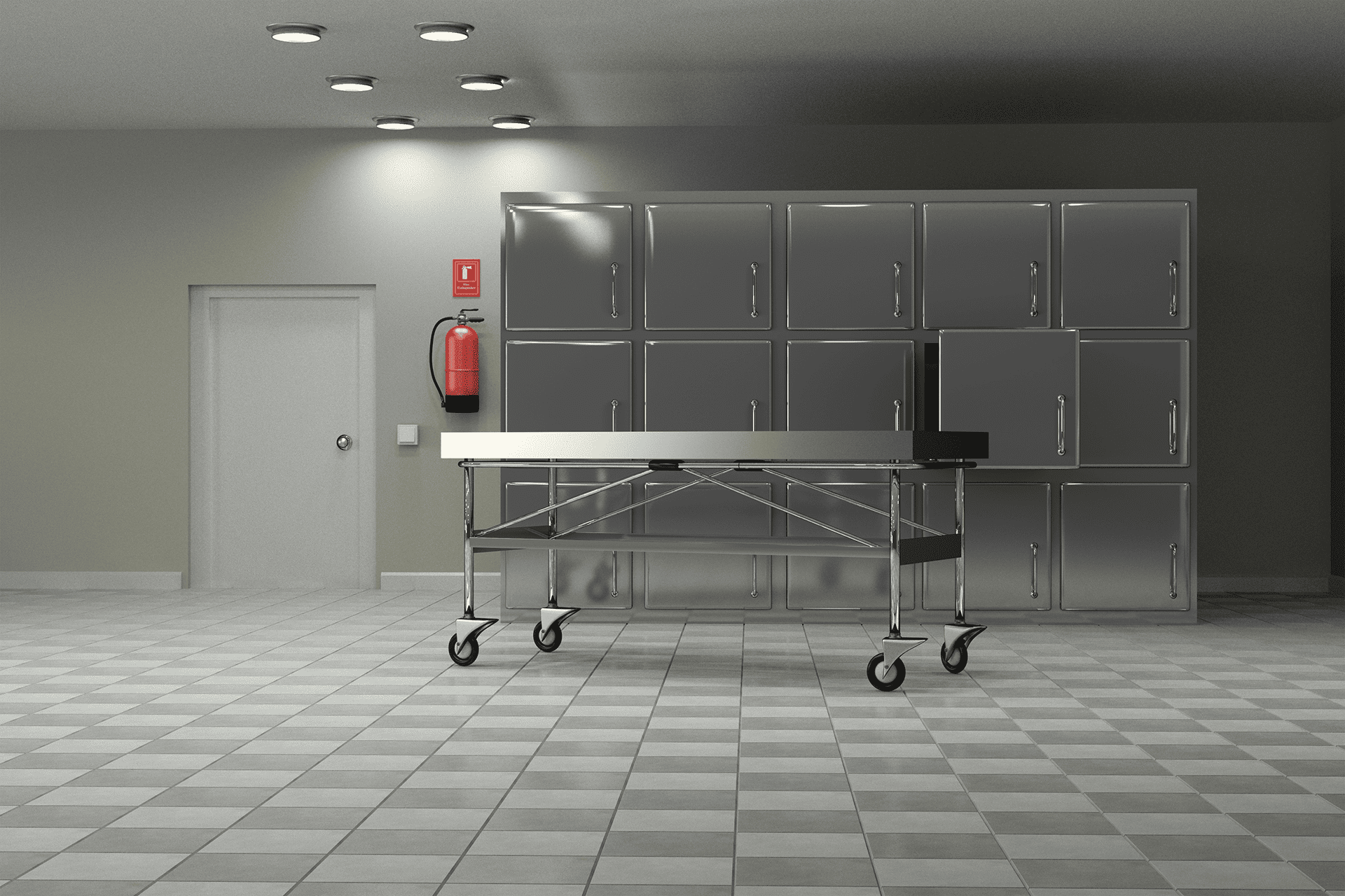 Mortuary Storage