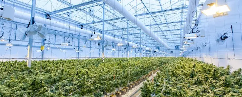 Vertical Grow Racking | Speedrack West